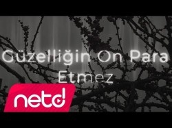 Aşık Veysel - Güzelliğin On Para Etmez