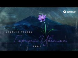Альбина Токова - Горный Цветок Remix