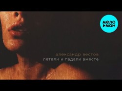 Александр Вестов - Летали и падали вместе