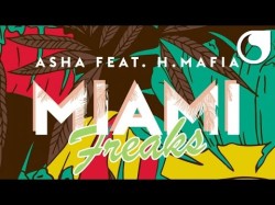 Asha Ft H - Mafia