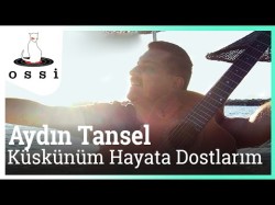 Aydın Tansel - Küskünüm Hayata Dostlarım Sanatçının Kaderi