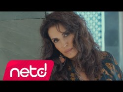 Ayşegül Aldinç - Kendisi