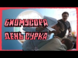 Биомусора - День Сурка