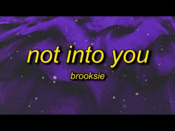 Brooksie - Not Into You