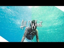 Davincii - All I Want Suprafive Records