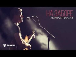 Дмитрий Юрков - На Заборе