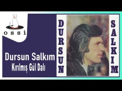 Dursun Salkım - Kırılmış Gül Dalı