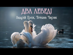 Два Лебеді - Чутлива Українська Пісня Про Кохання Виконує
