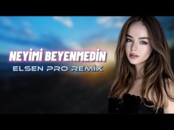 Elsen Pro, Ferid Ehmedzade - Neyimi Beyenmedin Tiktok Remix