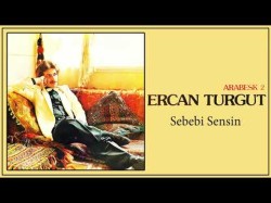 Ercan Turgut - Sebebi Sensin