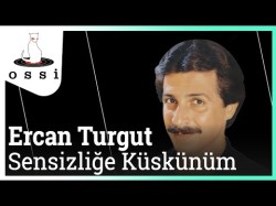 Ercan Turgut - Sensizliğe Küskünüm