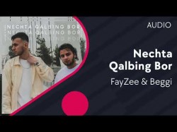 Fayzee & Beggi - Nechta qalbing bor