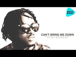 Flint Bedrock - Can't Bring Me Down