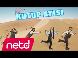 Flört - Kutup Ayısı