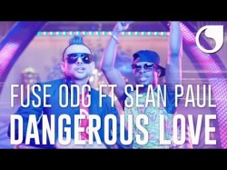 Fuse Odg Ft Sean Paul - Dangerous Love Music