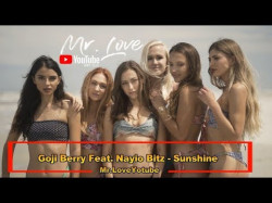 Goji Berry Feat Nayio Bitz - Sunshine