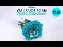 Гудзон - Умирают Розы Dj Llex Radio Remix