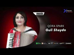 Guli Shaydo - Qora Spark