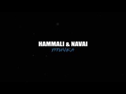 Hammali Navai - Птичка