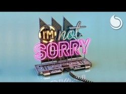 Hardwell Mike Williams - I'm Not Sorry