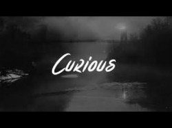 Hayley Kiyoko - Curious