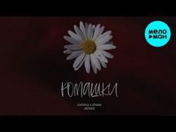 IVSHINA zheez - Ромашки Remix