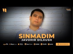 Javohir Dilxush - Sinmadim