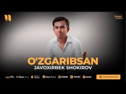 Javoxirbek Shokirov - O'zgaribsan