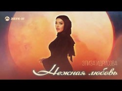 Элиза Идрисова - Нежная Любовь