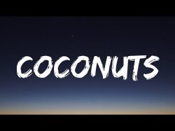 Kim Petras - Coconuts