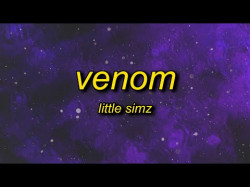 Little Simz - Venom