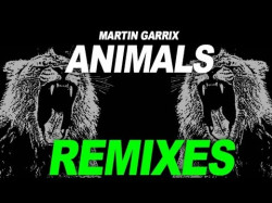 Martin Garrix - Animals Grum Remix Clean