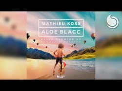 Mathieu Koss Aloe Blacc - Never Growing Up Acoustic