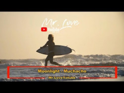 Moonlight - Muchacho