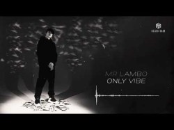 Mr Lambo - Only Vibe The Pursuit Of Happyness Альбома