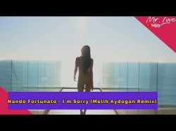 Nando Fortunato - I'm Sorry Melih Aydogan Remix