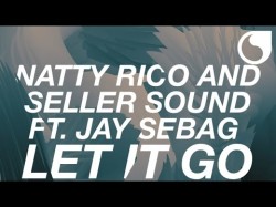 Natty Rico Seller Sound Feat Jay Sebag - Let It Go
