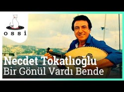 Necdet Tokatlıoğlu - Bir Gönül Vardı Bende