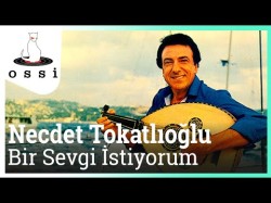 Necdet Tokatlıoğlu - Bir Sevgi İstiyorum