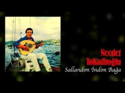 Necdet Tokatlıoğlu - Sallandım İndim Bağa