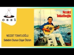 Necdet Tokatlıoğlu - Sebebim Olursun Düşer Ölürüm