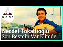 Necdet Tokatlıoğlu - Son Resmin Var Elimde