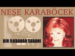 Neşe Karaböcek - Bir İlkbahar Sabahı