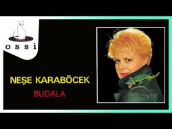 Neşe Karaböcek - Budala