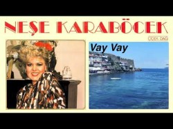 Neşe Karaböcek - Vay Vay