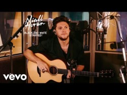 Niall Horan - Black And White Stripped Audio