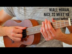 Niall Horan - Nice To Meet Ya Easy Ukulele Tutorial With Chords
