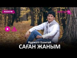 Нұржігіт Есентай - Саған Жаным Zhuldyz Аудио