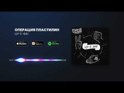 Операция Пластилин - Цу