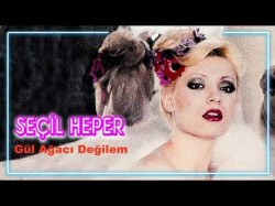 Seçil Heper - Gül Ağacı Değilem